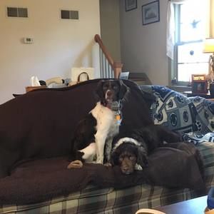 Meet your Posher, Donna